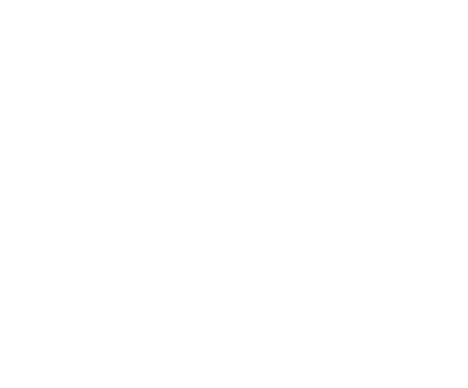 The Mountain Logo